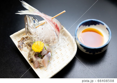 鯵のお刺身 鯵のお刺身 66408508