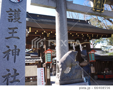 護王神社　鳥居と狛猪 66408556