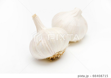 ニンニク 66408715
