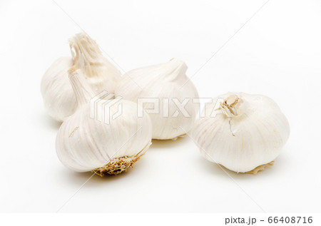 ニンニク 66408716