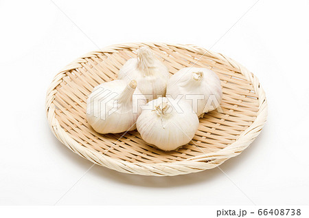 ニンニク 66408738