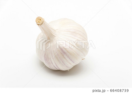 ニンニク 66408739