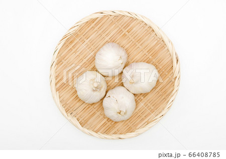 ニンニク 66408785