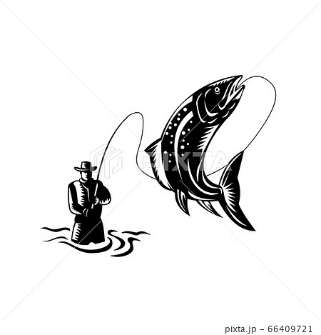 Fly Fisherman Catching Spotted Trout Fish Jumping Fly Fisherman Catching Spotted Trout Fish Jumping 66409721