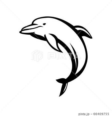 Dolphin Mascot Jumping Side View Black And Whiteのイラスト素材