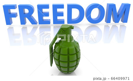 Freedom concept with hand grenade Freedom concept with hand grenade 66409971