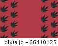 Big beautiful green leaves of marijuana close up 66410125