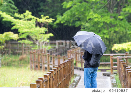 雨の日の過ごし方 雨の日の過ごし方 66410687
