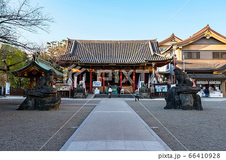 東京 浅草神社 東京 浅草神社 66410928