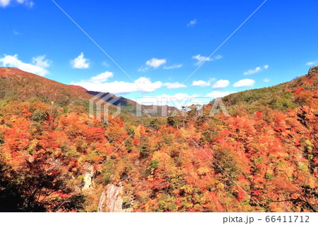紅葉の鳴子郷 紅葉の鳴子郷 66411712