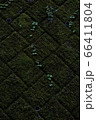 苔むしたブロック 66411804