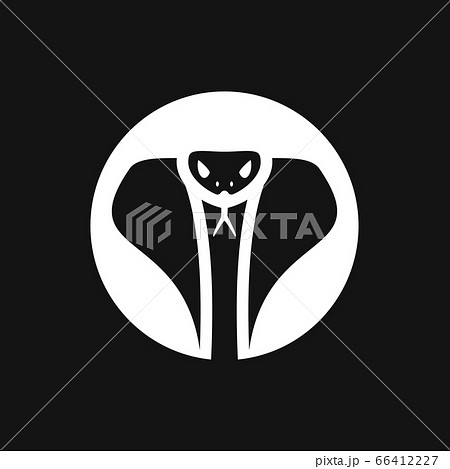 Snake vector icon, animal symbol isolated on 66412227