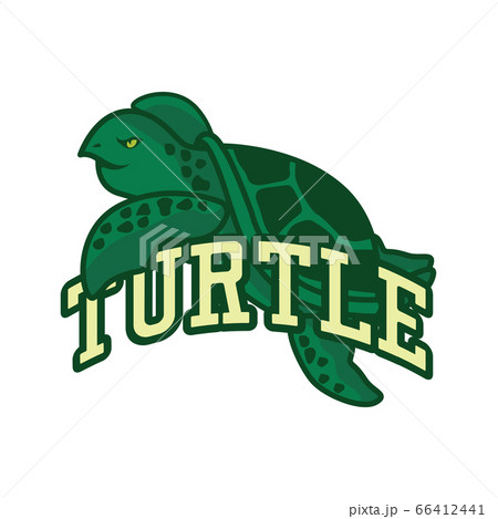 green turtle logo,  vector illustration 66412441