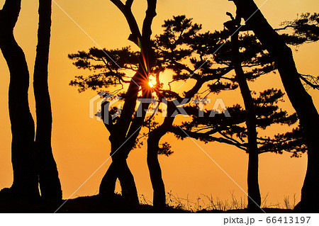 伝燈寺 江華島 寺院 66413197