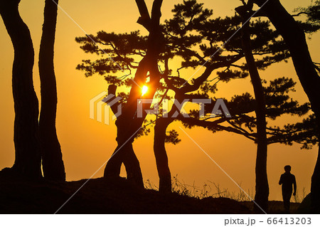 伝燈寺 江華島 寺院 66413203