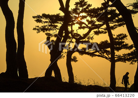 伝燈寺 江華島 寺院 66413220