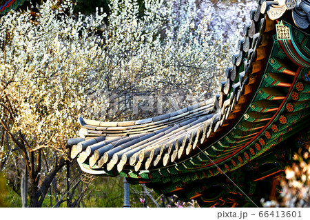 伝燈寺 江華島 寺院 66413601