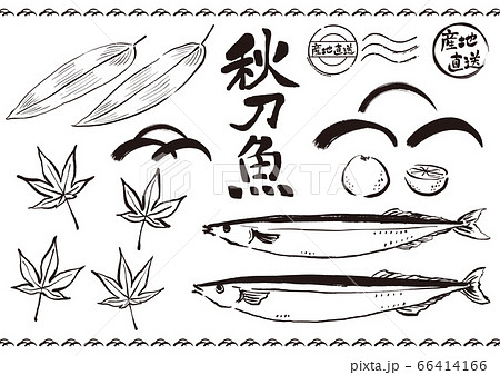 秋刀魚のイラスト素材 墨絵線画 66414166