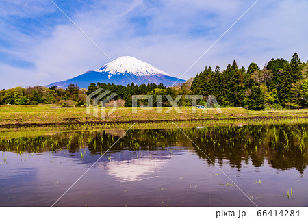(静岡県)棚田と富士山 田植の頃 (静岡県)棚田と富士山 田植の頃 66414284