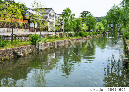 《岡山県》倉敷美観地区・伝統的な街並み《初夏》 《岡山県》倉敷美観地区・伝統的な街並み《初夏》 66414695