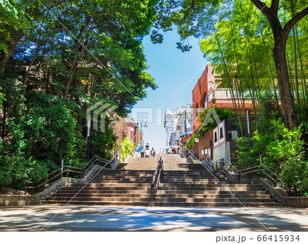 東京 吉祥寺 井の頭公園 東京 吉祥寺 井の頭公園 66415934