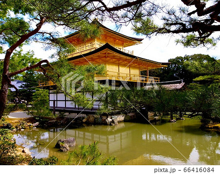 【京都】春の金閣寺 66416084