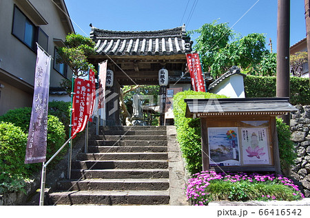 奈良県吉野町:弘願寺の山門 奈良県吉野町:弘願寺の山門 66416542