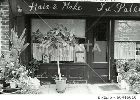 植栽のあるおしゃれなお店（モノクロ） 66416610