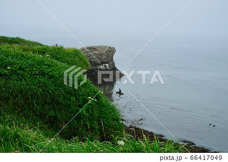 【北海道】霧の中の納沙布岬(コンブ漁) 【北海道】霧の中の納沙布岬(コンブ漁) 66417049
