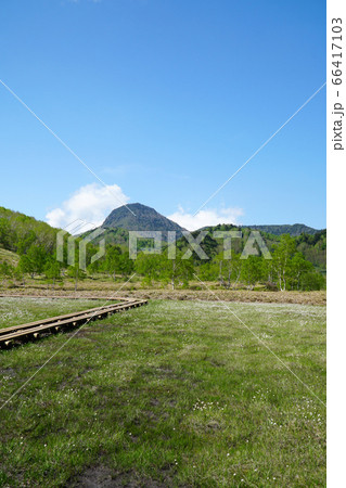 ワタスゲが咲く田ノ原湿原 66417103