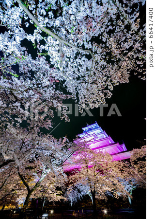 鶴ヶ城 本丸 天守閣 夜桜 春 鶴ヶ城 本丸 天守閣 夜桜 春 66417400