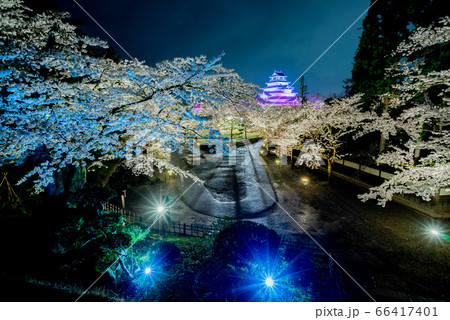 鶴ヶ城 本丸 天守閣 夜桜 春 鶴ヶ城 本丸 天守閣 夜桜 春 66417401