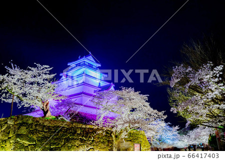 鶴ヶ城 本丸 天守閣 夜桜 春 鶴ヶ城 本丸 天守閣 夜桜 春 66417403