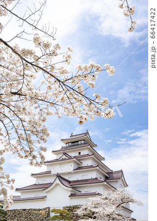鶴ヶ城　本丸　天守閣　満開の桜　春 66417422