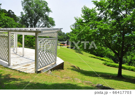 神奈川県立七沢森林公園　おおやま広場展望台と新緑 66417703