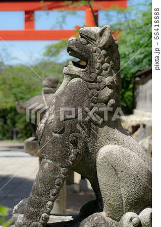 宇治神社1835 66418888