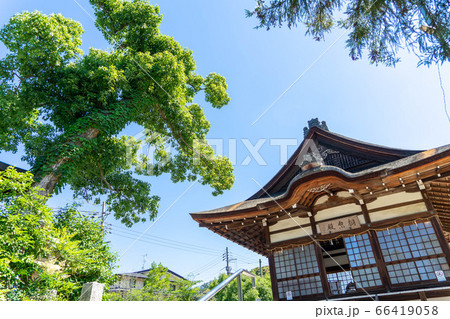 宇治神社1779 宇治神社1779 66419058