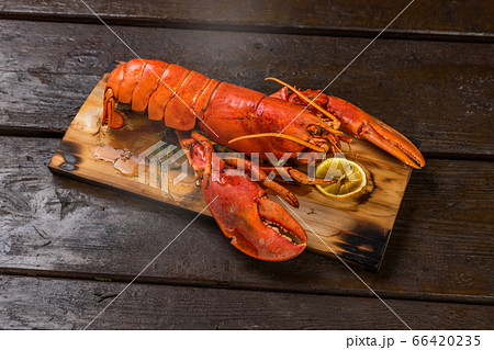 グランピングバーベキュー Wood Plank barbecue of seafood グランピングバーベキュー Wood Plank barbecue of seafood 66420235
