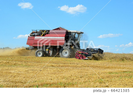 Combine harvesting 66421385