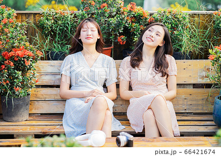 Woman, chatting, lifestyle 66421674