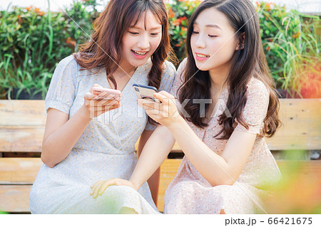 Woman, chatting, lifestyle 66421675