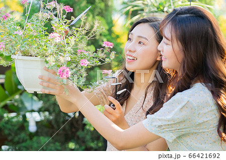 Woman, garden, plant Woman, garden, plant 66421692