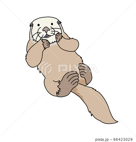 ラッコは愛らしい 66423029