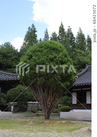 建物 歴史 自然 66423072