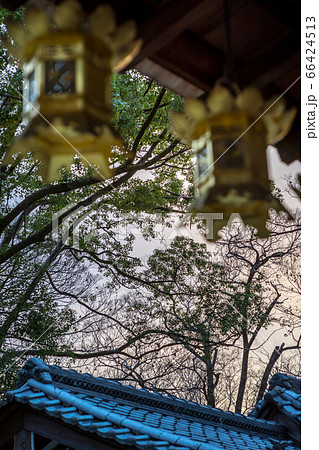 下鴨神社、摂社・河合神社、拝殿の吊り灯篭 下鴨神社、摂社・河合神社、拝殿の吊り灯篭 66424513
