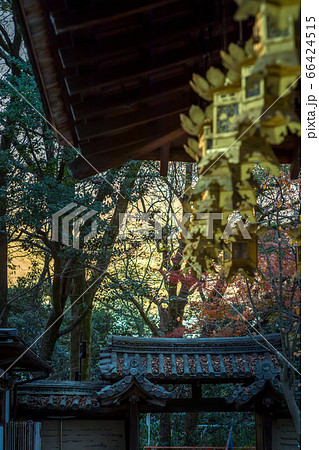 下鴨神社、摂社・河合神社、拝殿の吊り灯篭と門 下鴨神社、摂社・河合神社、拝殿の吊り灯篭と門 66424515