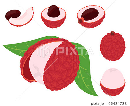 Lychees icons set, isometric style 66424728