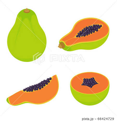 Papaya Icons Set Isometric Styleのイラスト素材