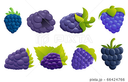 Blackberry icons set, cartoon style 66424766