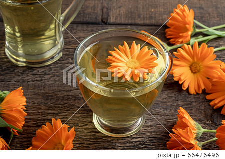 Calendula tea with fresh flowers on a wooden table Calendula tea with fresh flowers on a wooden table 66426496